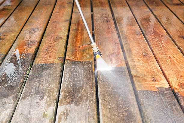 Best Animal Enclosure Cleaning  in Inesville, GA